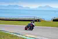 Advanced Group Multicolour Bikes